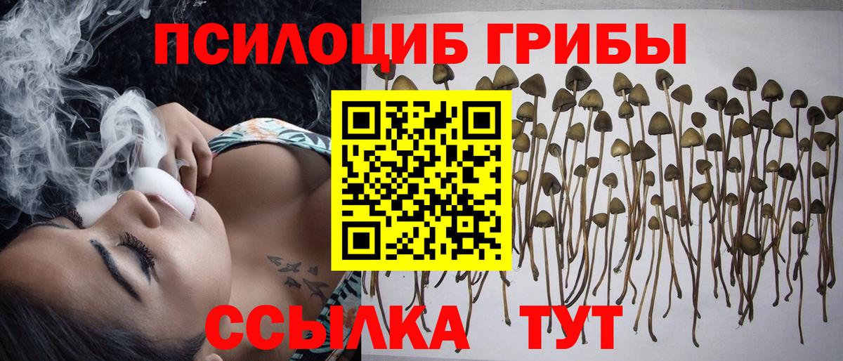 Псилоцибиновые грибы Magic Shrooms Куйбышев